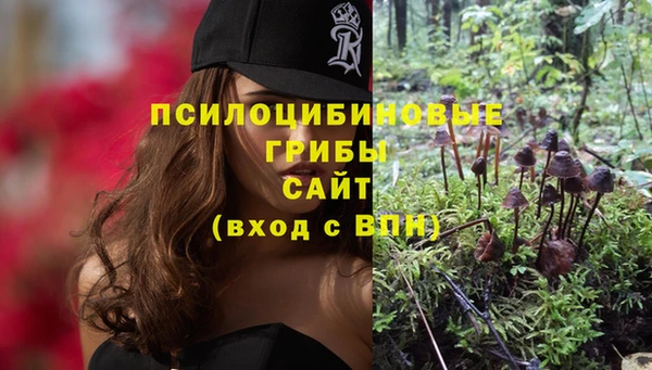 прущая мука Шарыпово