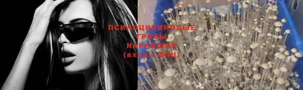 метадон Беломорск