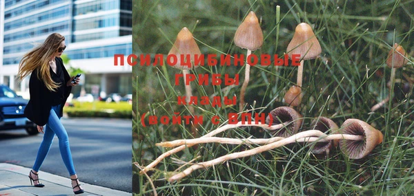 ешки Белоозёрский